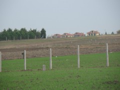 S�L�VR�DE ARACISIZ FA�ZS�Z  KONUT �MARLI ARSALAR - 46